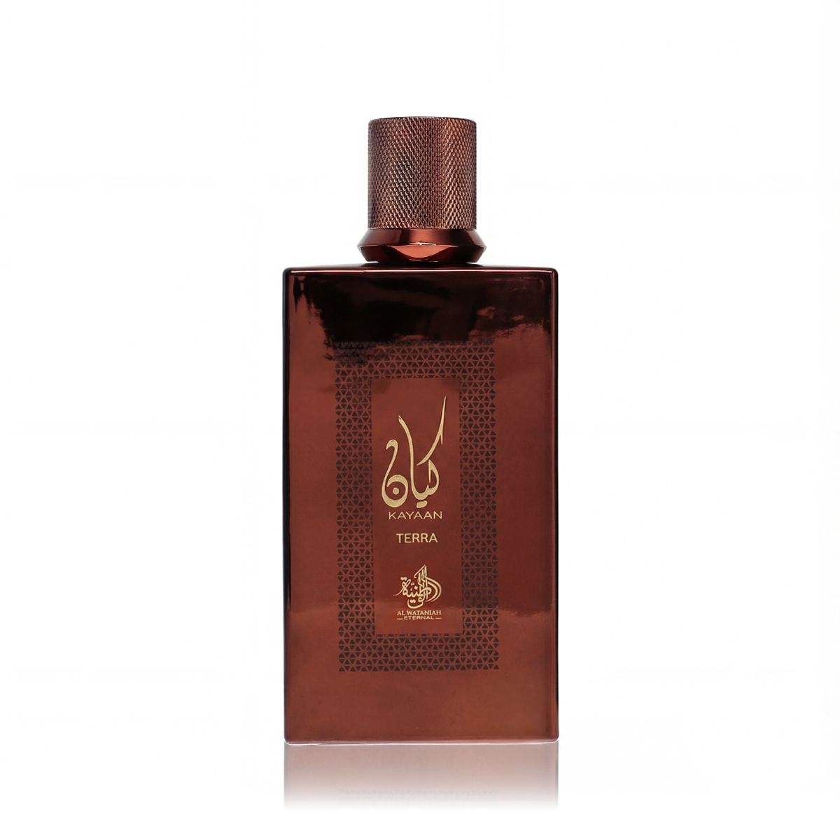 Al Wataniah Kayaan Terra Eau De Parfum 100 ml (unisex)