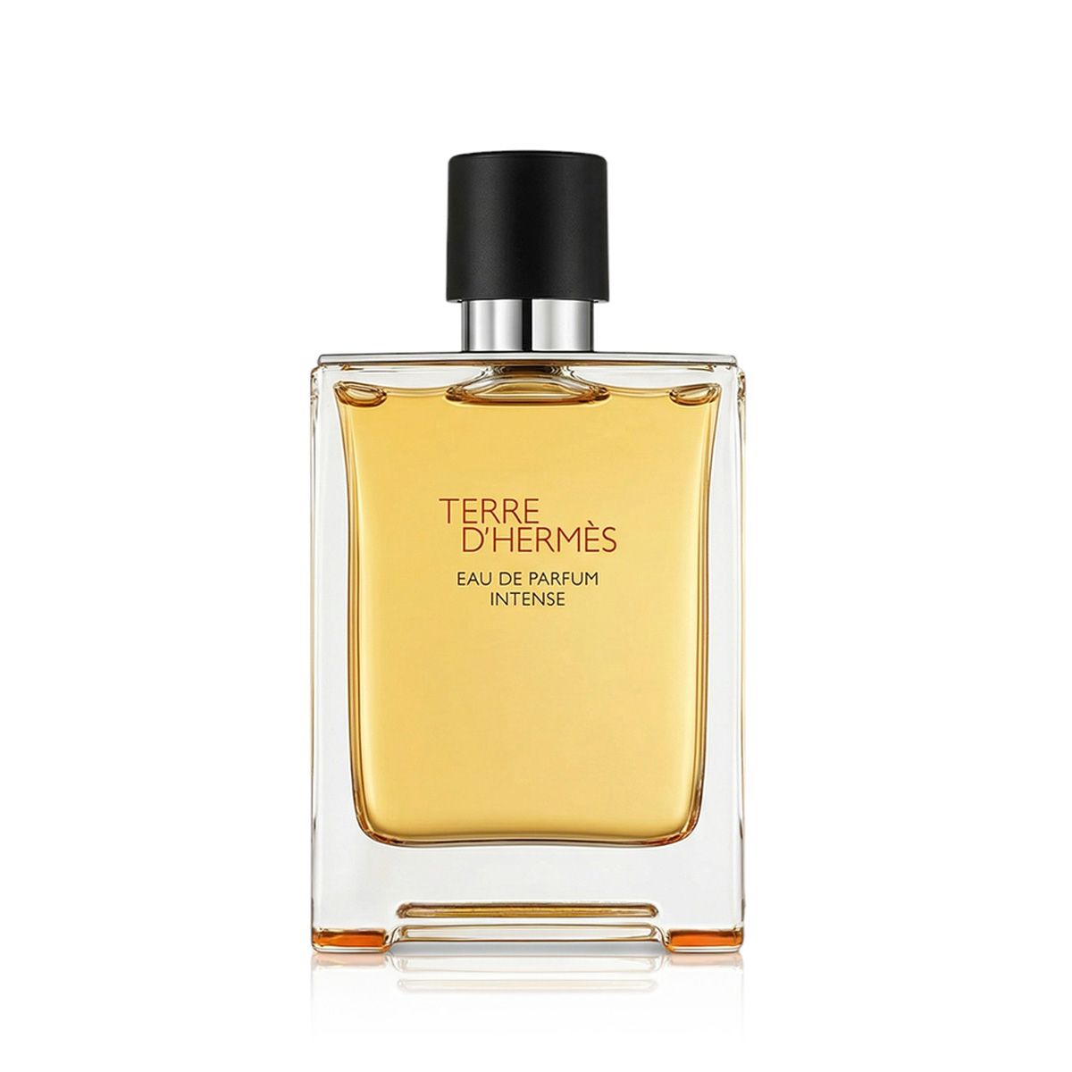 Hermès Terre d’Hermès Intense Eau De Parfum Intense Refillable 100 ml (man)