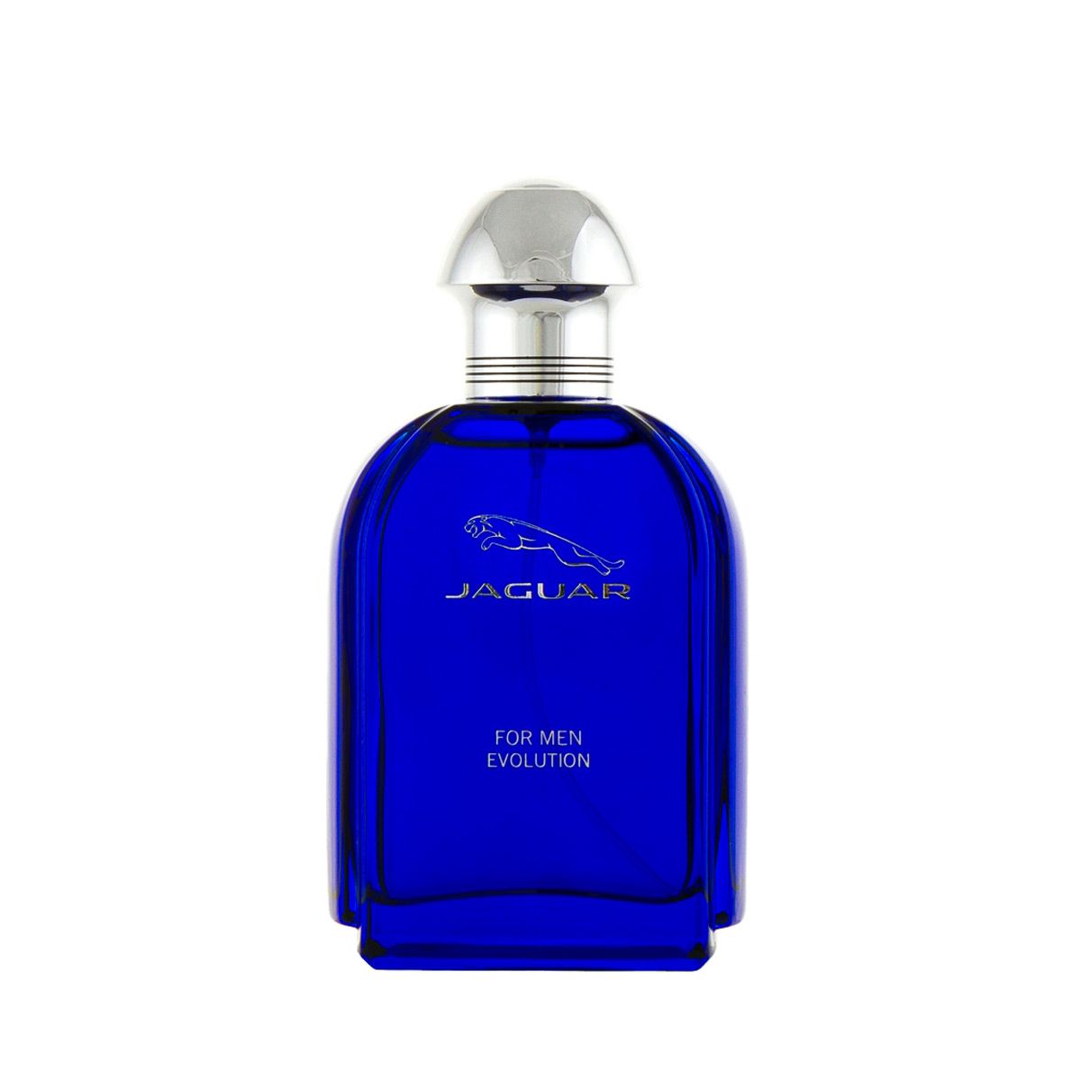 Jaguar For Men Evolution Eau De Toilette 100 ml (man)