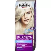 Palette barva na vlasy 50ml 10-1 ledový stříbřitě