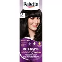Palette barva na vlasy 50ml 1-0 černý