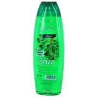 Chopa šampon 500ml Bříza