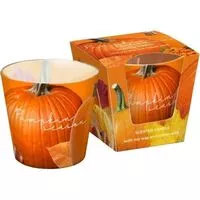 Bartek svíčky pumpkin season 115g