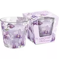 Bartek svíčky orchid phalaenopsis 115g